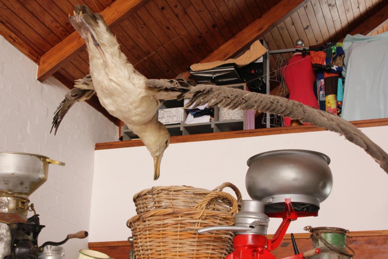 The-Ark B&B Pearly Beach Eksteriør bilde
